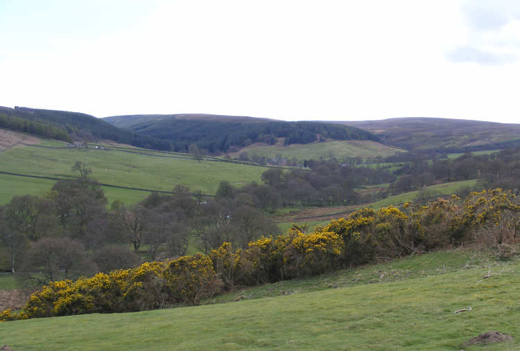 Upper Baysdale seen from the edge of Kildale Moor. 