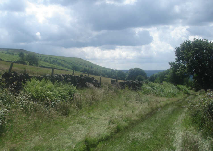 Looking south along Bilsdale from a lane under East Bank
