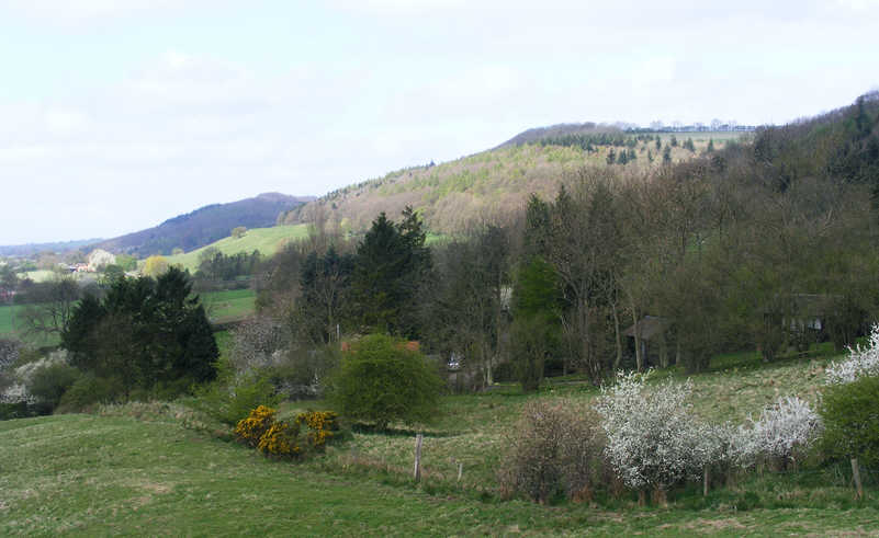 Burtis Wood and the southern edge of the Moors 