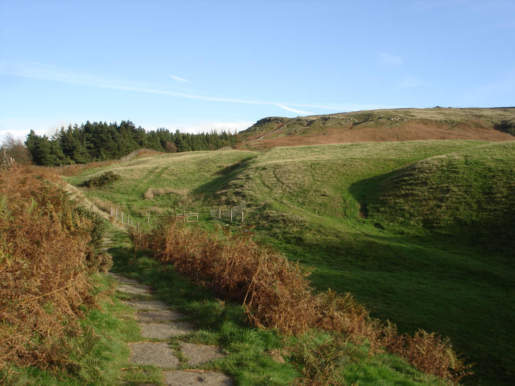 The Cleveland Way on Carr Ridge
