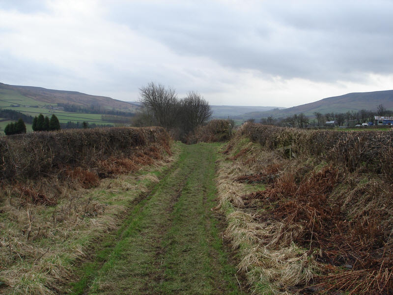 Cold Moor Lane