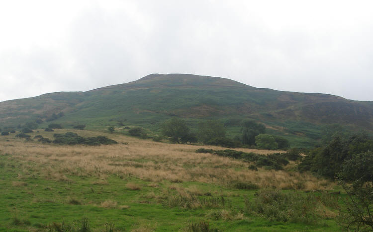 Cringle Moor from the north