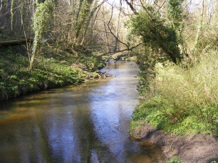 River Derwent in Forge Valley 