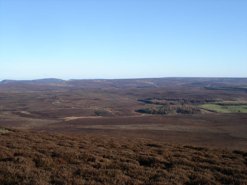 The Heather Moors north of Black Hambleton