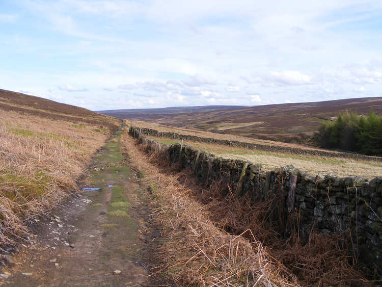 Path on Kildale Moor 