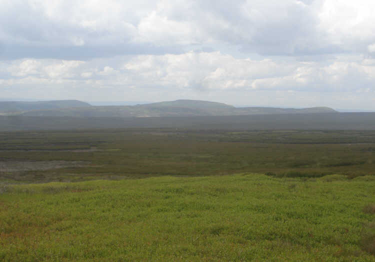 The view from Nab End Moor