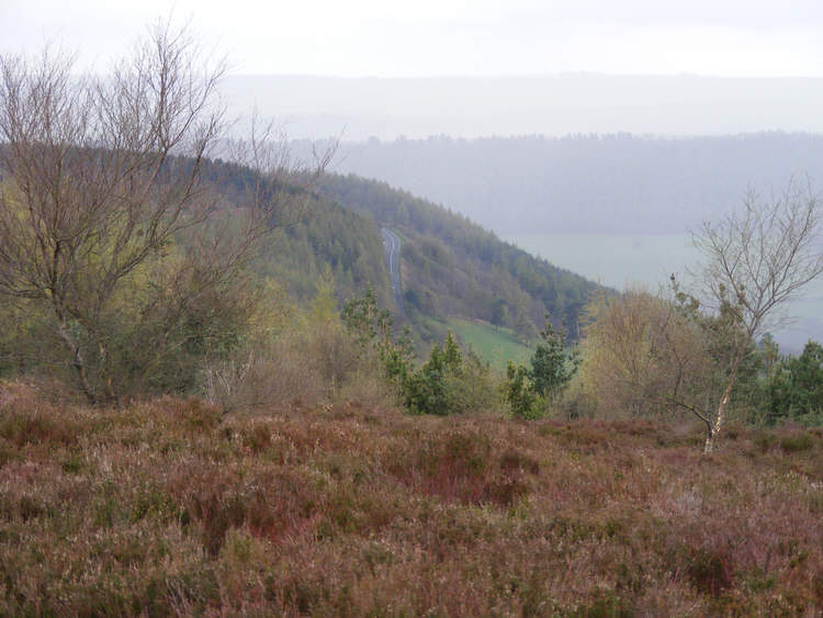 A view of Newgate Bank from the western edge of Rievaulx Moor