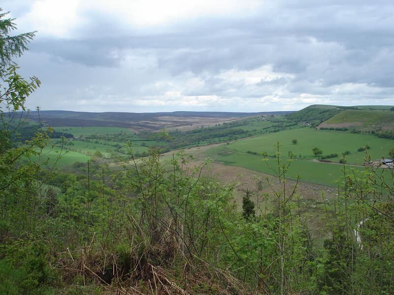 Source of the River Riccal