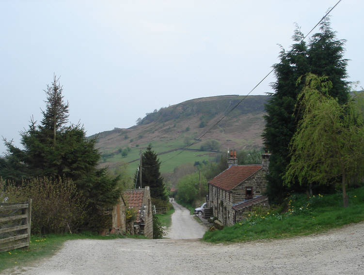 A view of Thorgill in Rosedale, with Thorgill bank in the background