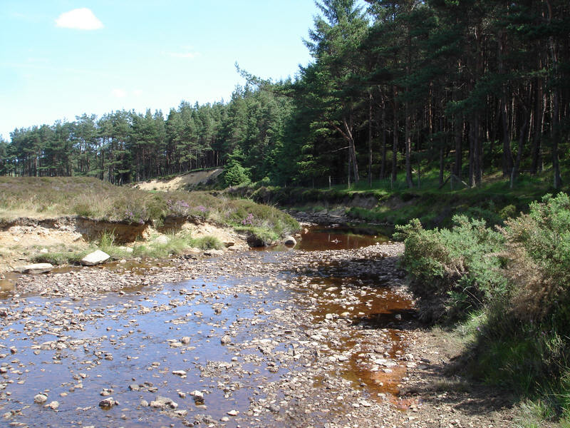Wheeldale Beck looked east, with Cropton Forest on the right bank