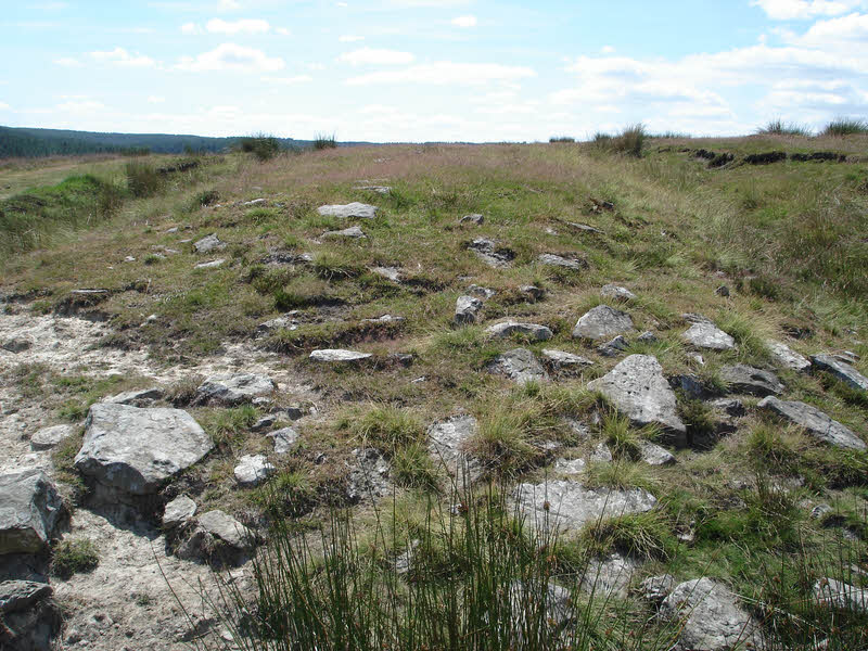 Close-up view of the Wheeldale Roman Road 