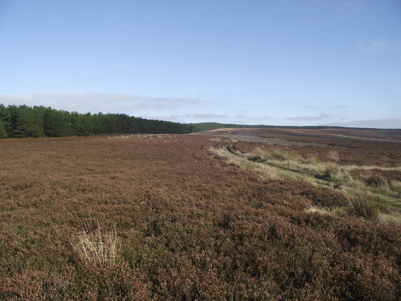 Swainby