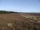 Above Clain Wood, Whorlton Moor 