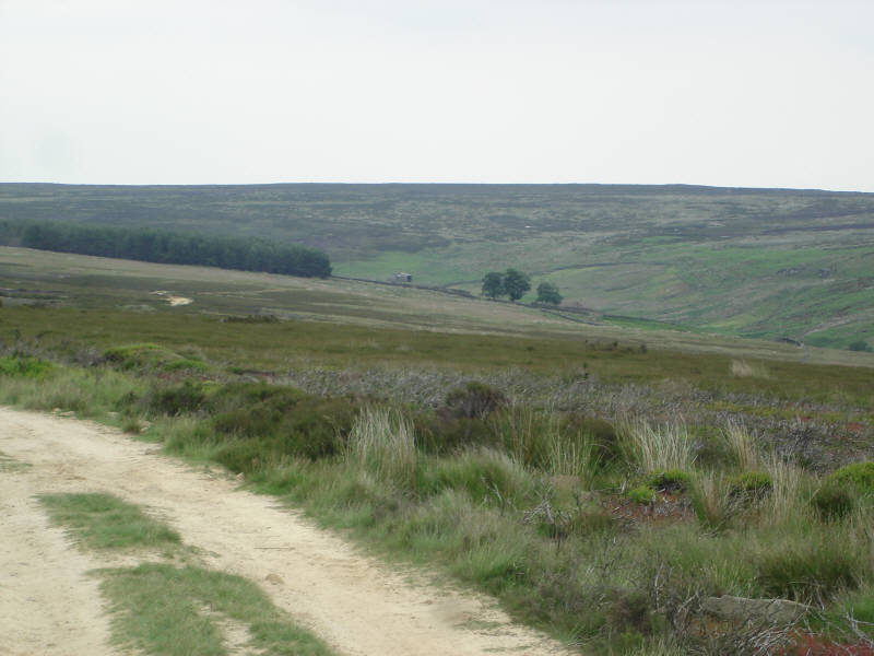 Swainby