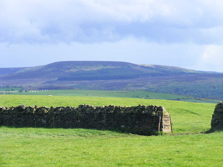 Black Hambleton from Beacon Hill 