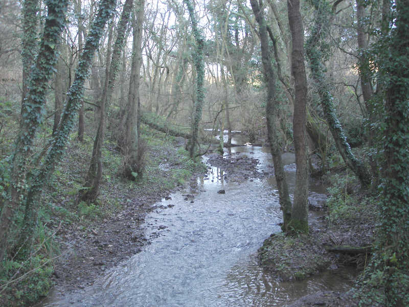 Cod Beck near Osmotherley 