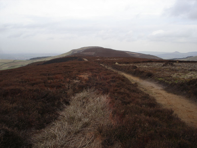 The view north along Cold Moor
