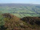 Farndale below Low Mill