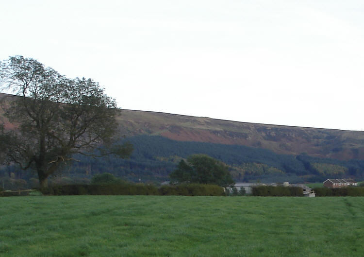 Greenhow Botton 