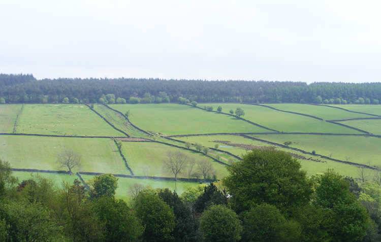 Swainby