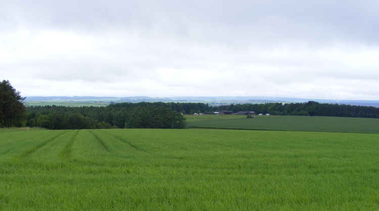 High Rigg Farm, Dalby Forest 