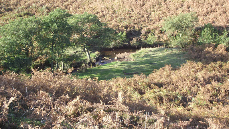 Ingdale Beck 