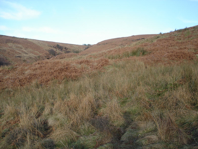 A view west towards the valley cut by Jenny Brewster Gill, seen from the head of Oak Dale near Osmotherley. 