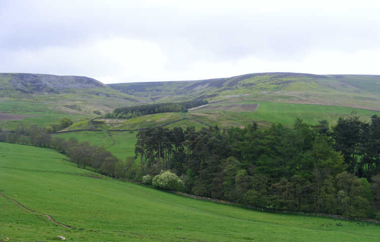 Swainby