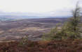 Laskill Pasture Moor