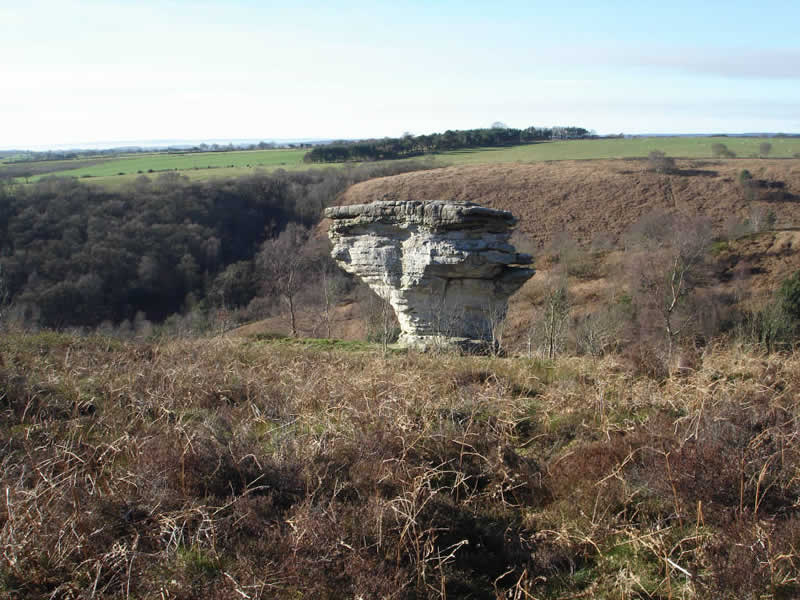 The most precarious of the Bridestones, seen from the east. 