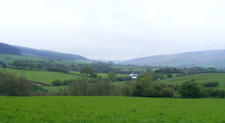 Lower Rosedale 