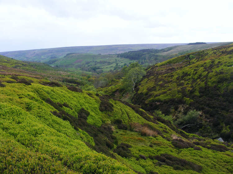 Swainby