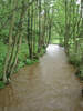 River Dove, Farndale 