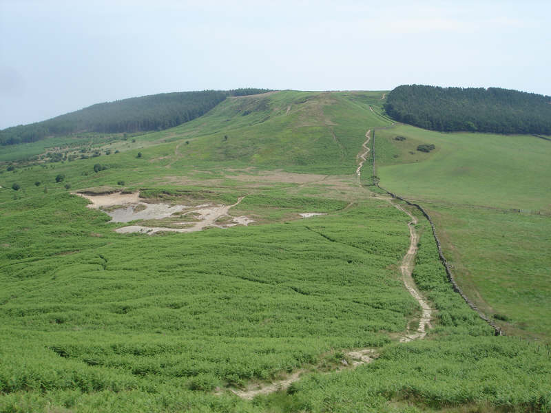 Roseberry Common