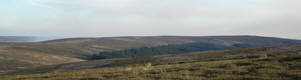 Westerdale Moor