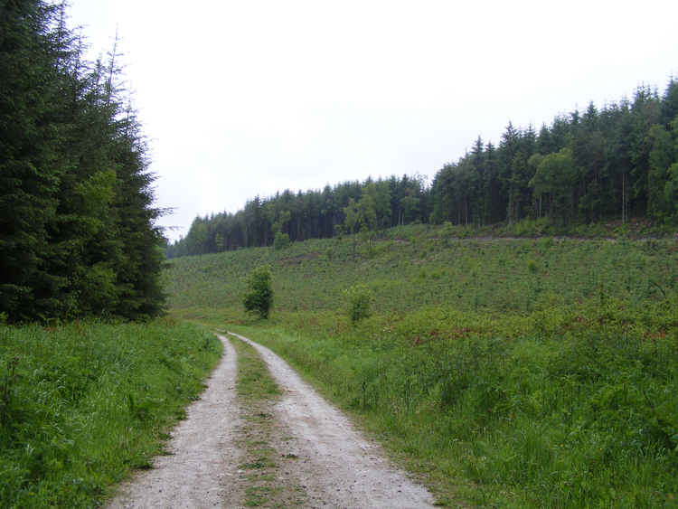 Sand Dale