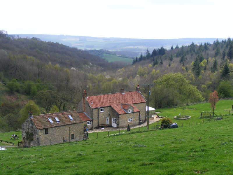 Shallow Dale 