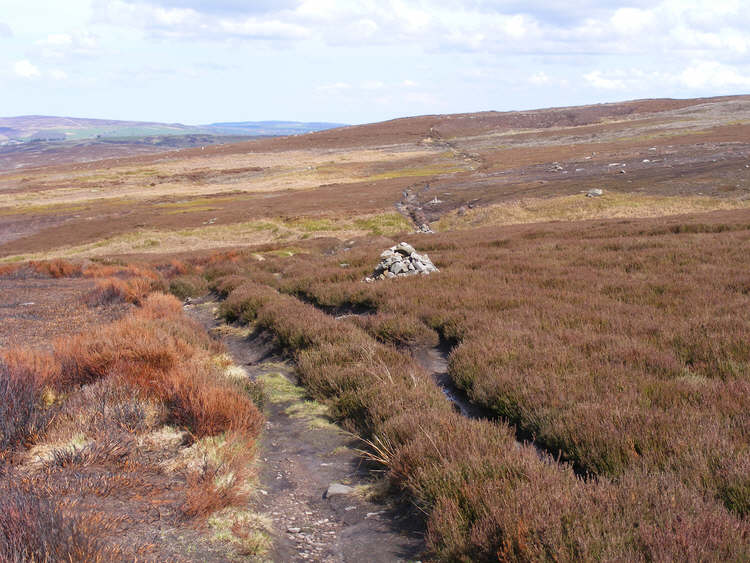 Swainby