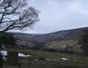 Snowy Scugdale