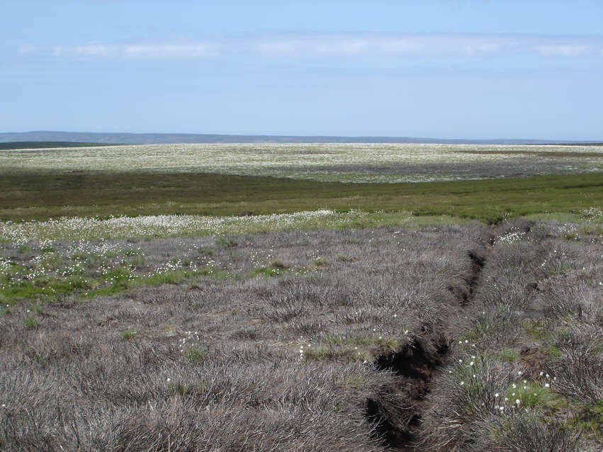 Stony Ridge