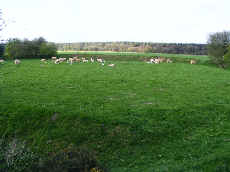 View across Studfold Ring