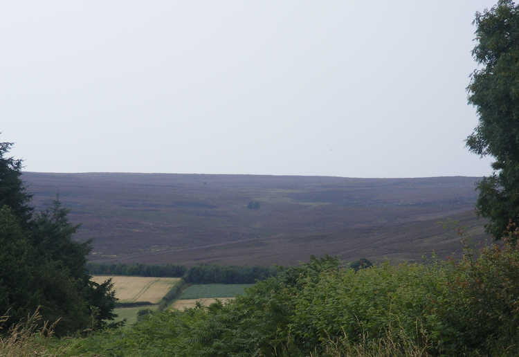 Tranmire Plain