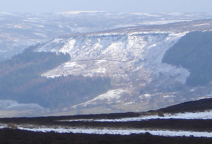 Trennet in the Snow 