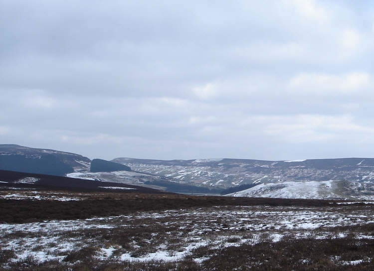 Upper Bilsdale from Bilsdale West Moor 
