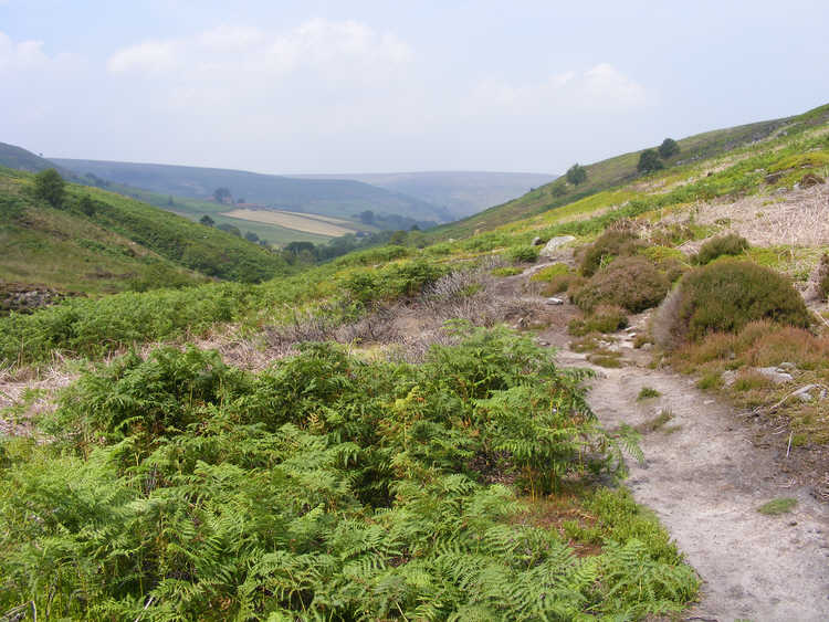 Upper Westerdale 