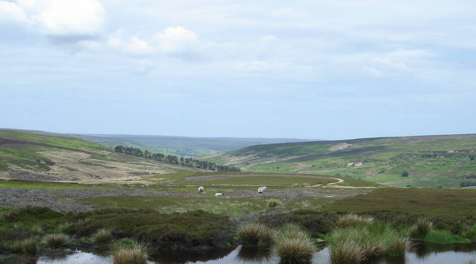 Westerdale seen from the Rosedale railway as it crosses Farndale