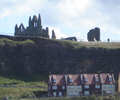 Whitby Abbey from the harbour