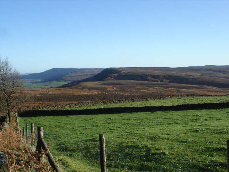 Picture of Whorlton Moor